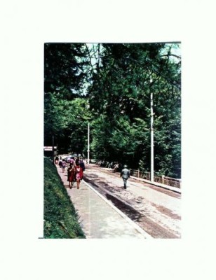 CP135-06 Olanesti -Vedere -necirculata foto