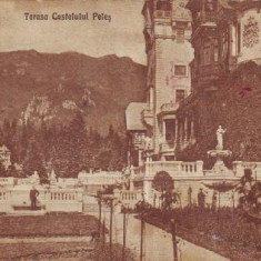 Sinaia Terasa Castelului Peles,1927