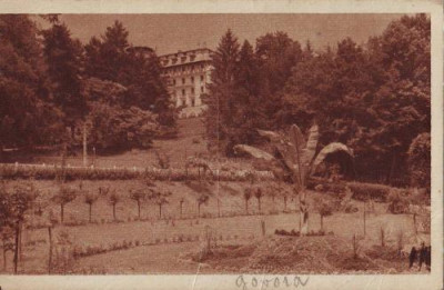 2264Govora Hotelul Palace,circulat 1946 foto