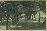 2263Govora Alee in parc,circulat 1935