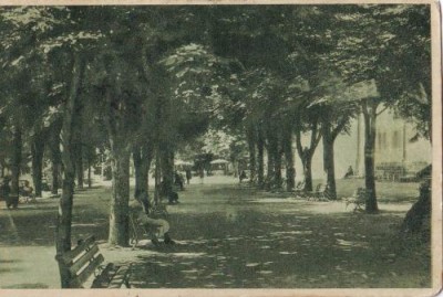 2263Govora Alee in parc,circulat 1935 foto