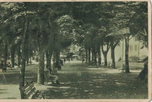 2263Govora Alee in parc,circulat 1935 2263Govora Alee in parc,circulat 1935