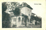 2257Govora, vila Morariu,circulat 1943