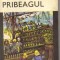 Lola Stere-Chiracu - Pribeagul