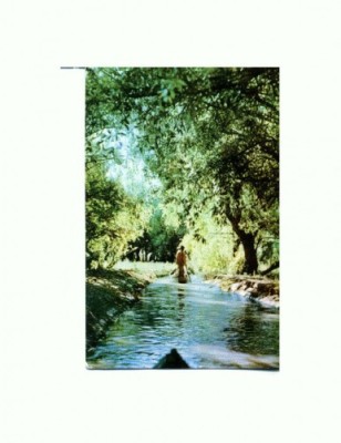 CP148-33 Vedere din Delta Dunarii -RPR -circulata 1963 foto