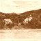 R836 RPR Caciulata circulat (480 ipi)