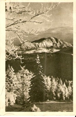 R847 RPR Bucegi Diham editura de stat circulat foto