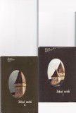 Sibiu-set de 2 pliante