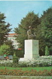 Bistrita -Statuia lui Liviu Rebreanu