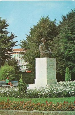 Bistrita -Statuia lui Liviu Rebreanu foto