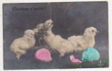 Puisori iesind din oua / Christos a inviat! (aprilie 1927), Circulata, Fotografie