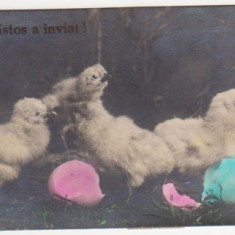 Puisori iesind din oua / Christos a inviat! (aprilie 1927)