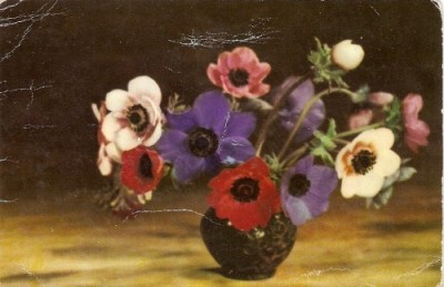 R766 Anemone RPR marca fixa 40 de bani circulat foto