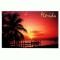 CP129-14 Florida -U.S.A. -circulata 1999
