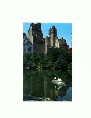 CP129-63 Central Park -( U.S.A.) -scrisa, dar necirculata