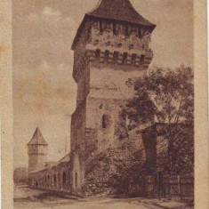 Sibiu, zidul cetatii vechi, circ, ant 1918