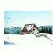 CP149-60 Sinaia: Cota 1300 -Cabana Bradet -stampilata 1983