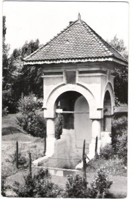 CRAIOVA FANTANA DIN GRADINA BOTANICA foto