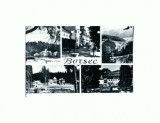 CP125-29 Borsec -RPR -circulata 1965
