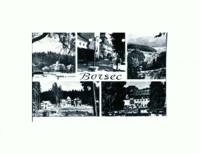CP125-29 Borsec -RPR -circulata 1965 foto