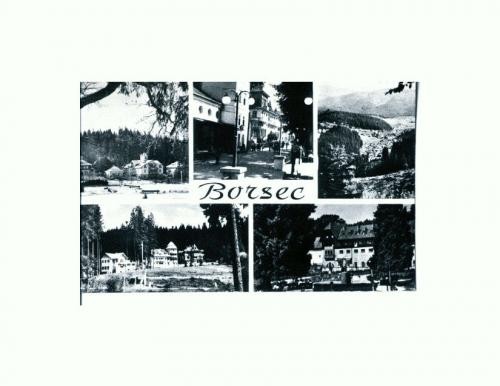 CP125-29 Borsec -RPR -circulata 1965