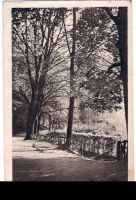 BRASOV ALEEA DE SUB TAMPA 1924 foto