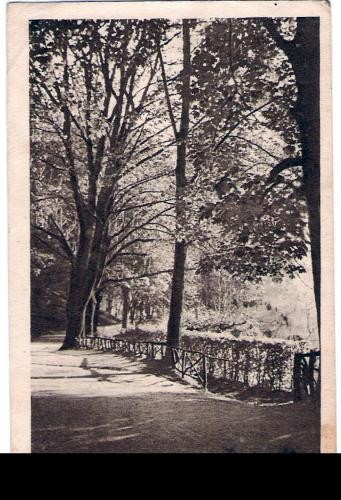 BRASOV ALEEA DE SUB TAMPA 1924