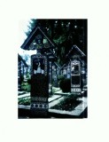 CP149-79 Sapanta (jud. Maramures) -Cimitirul vesel -necirculata