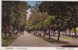 Covasna , Alee circulat 1930