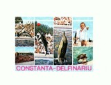 CP149-95 Constanta -Delfinariu -necirculata