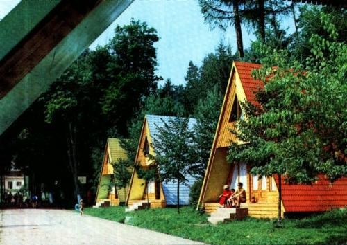 CP38-47-Toplita-Camping la Baile Bradul