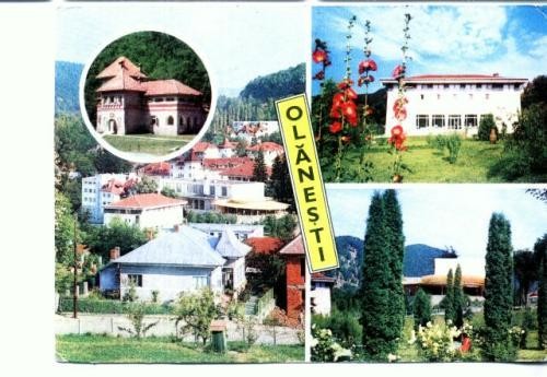 CP69-50- Olanesti (circulata 1990)