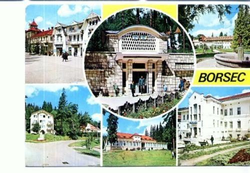 CP69-26-Borsec (circulata 1976) CP69-26-Borsec (circulata 1976)