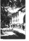 Foto  - 1