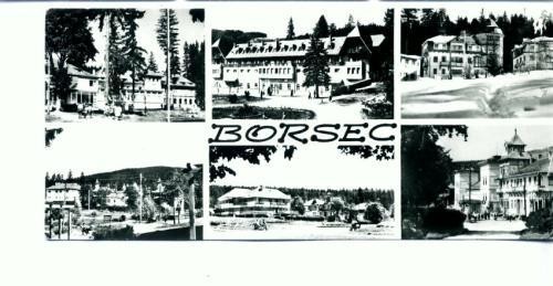 CP68-18- Borsec-(circulata 1969)-format lung. CP68-18- Borsec-(circulata 1969)-format lung.