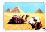 CP50-Egypt - Giza -The Pyramids (necirculata)