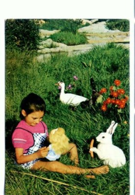 CP32- Egypt- (scrisa dar necirculata) foto