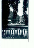 CP66-05-Buzias-Vedere din parc-RPR(circulata 1963)