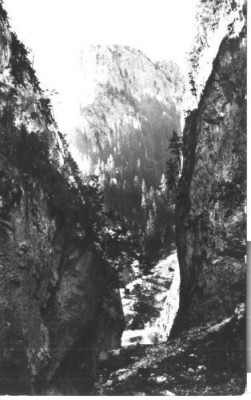 carte postala 23-Cheile Bicazului-RPR foto