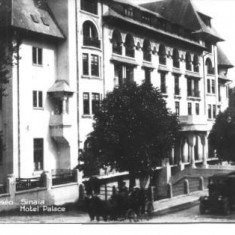 carte postala 12-Sinaia-Hotel ,,Palace"(interbelica)