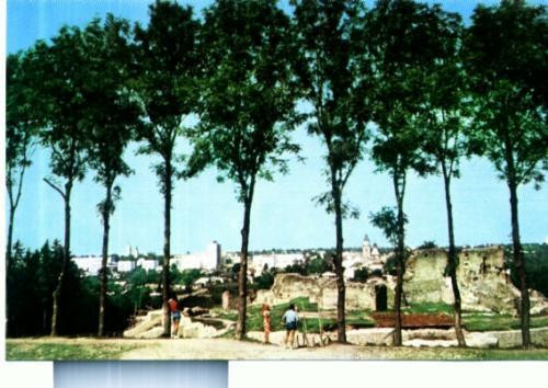 CP37-22-Cetatea Sucevei (sec.XIV-XV)