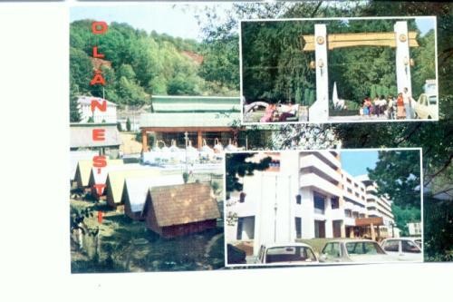 CP104-30 -Olanesti -circulata 1995