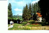 CP104-43 -Borsec -circulata 1970 ?