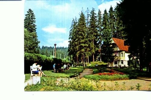 CP104-43 -Borsec -circulata 1970 ? CP104-43 -Borsec -circulata 1970 ?