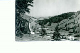 CP103-49 -Muntii Ciucului -Peisaj pe Valea Ciucului -RPR -1967