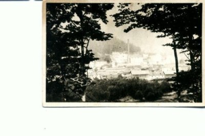 CP103-21 -Busteni - RPR -sepia -scrisa dar necirculata foto