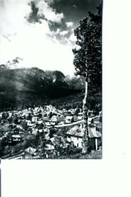CP103-01 -Vedere din Busteni -RPR -circulata 1965 foto