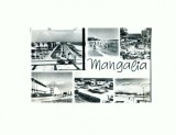CP116-39 -Mangalia -circulata 1968