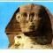 CP03-Egypt- Giza-The head of the famous Sphinx (necirculata)