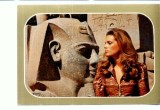 CP07-Luxor- Head of King Ramses- Luxor Temple (necirculata)